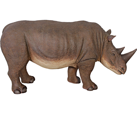 T54 NE110083